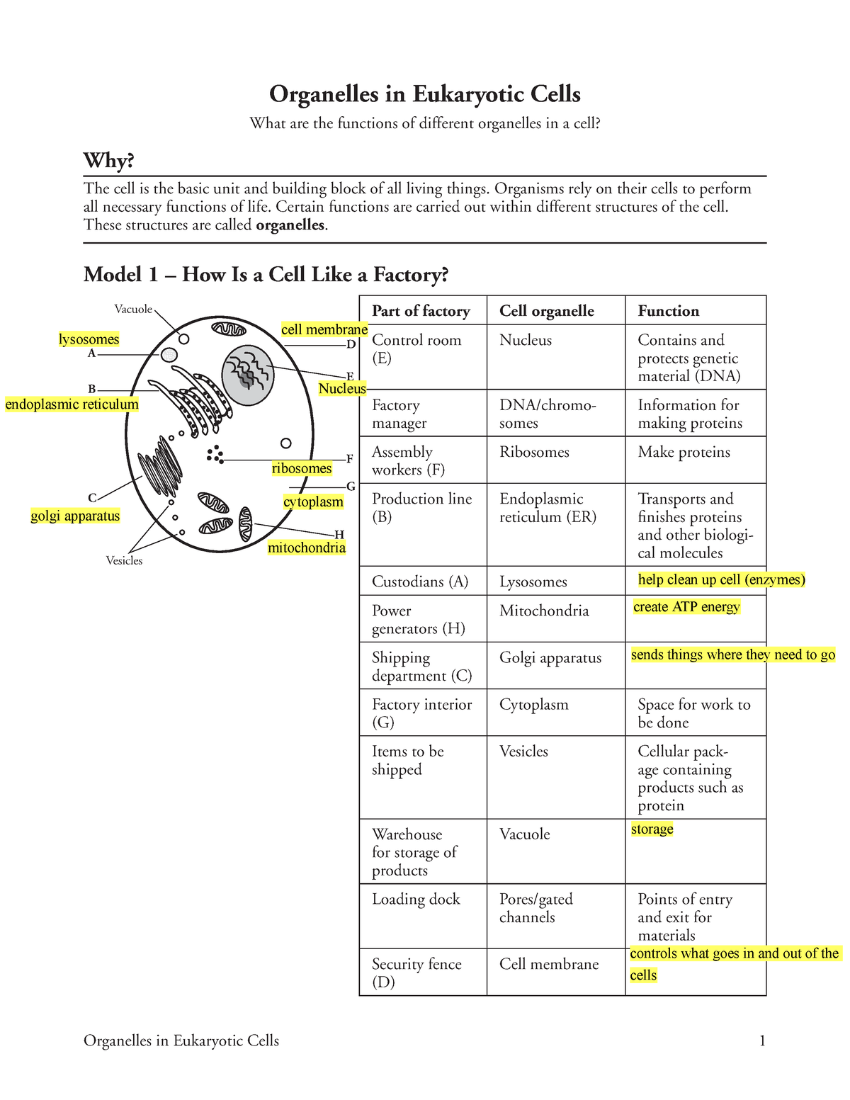 eukaryotic-cell-structure-worksheet