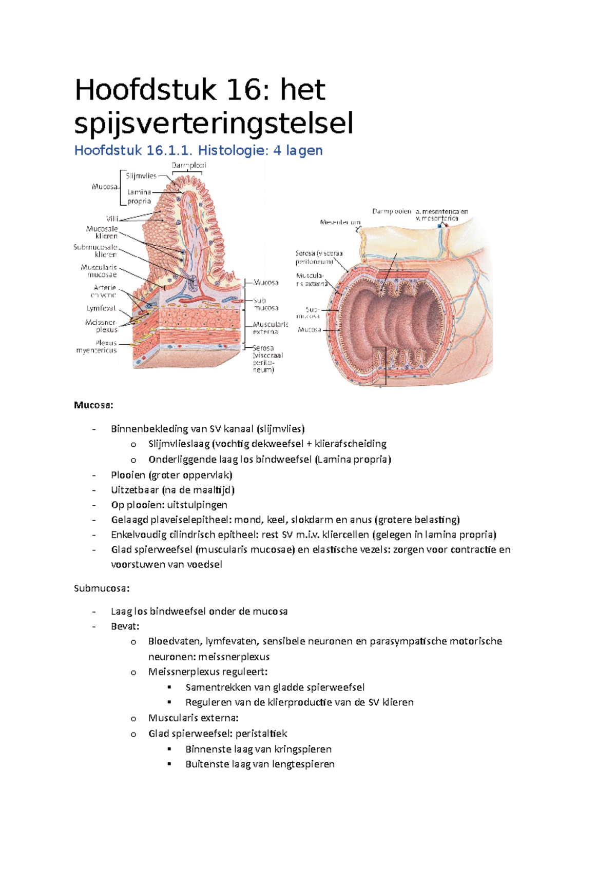 Samenvatting Hoofstuk 16 Anatomie Eerste Jaar Verpleegkunde VRHi3 2018 ...