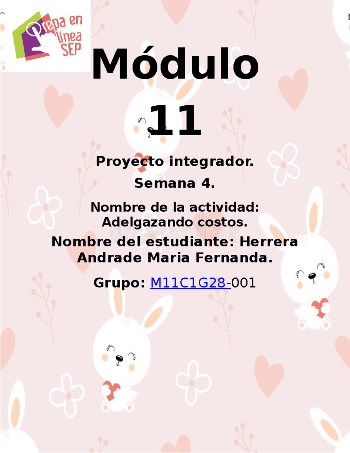 Herrera Andrade Maria Fernanda M11S4PI - Módulo 11 Proyecto Integrador ...