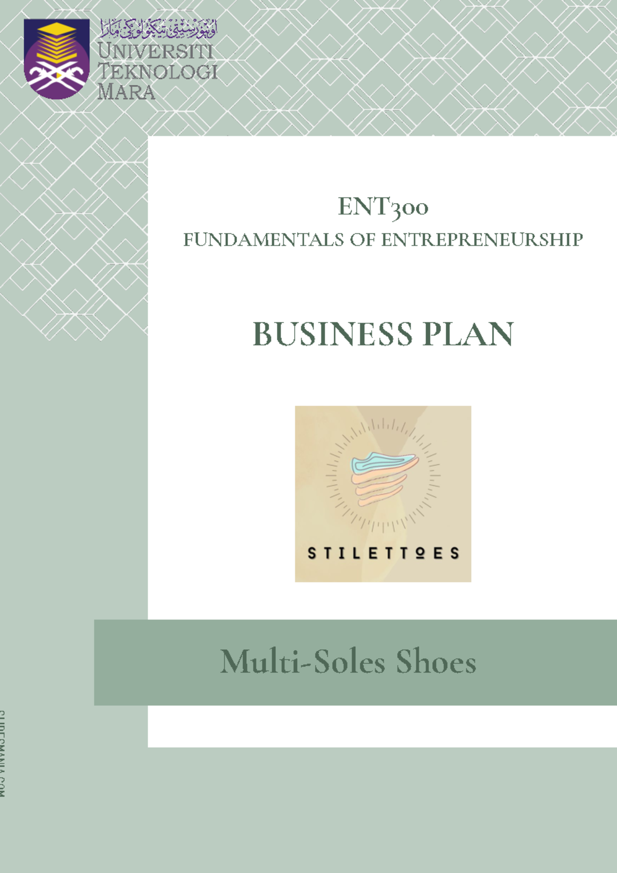 IC1204A1 4A2 Stilettoes Multi Soles Shoes Business PLAN ENT