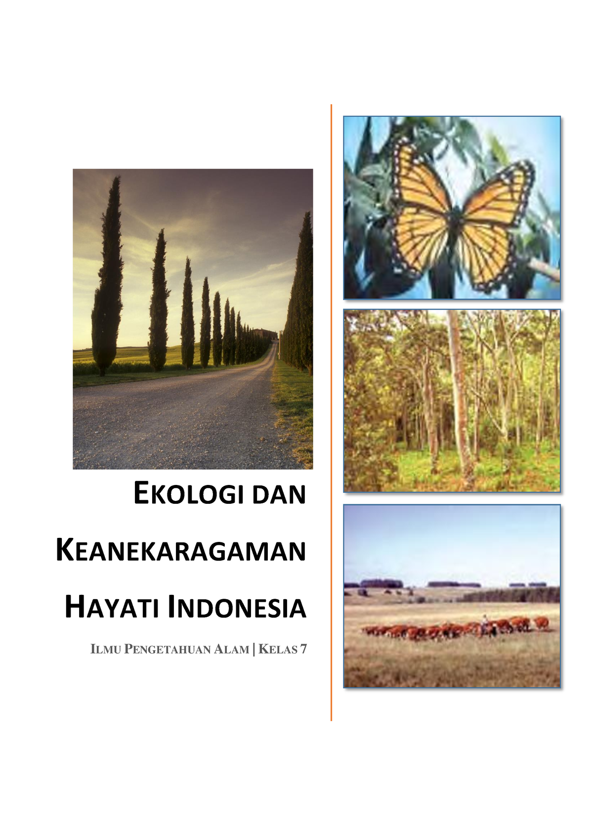 Rangkuman Ekologi - Buku Pelajaran Biologi SMA - EKOLOGI DAN ...