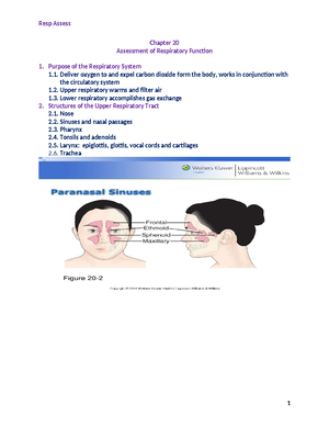 NUR348 Using the 5 step method presented - Pulmonary embolism - Using ...