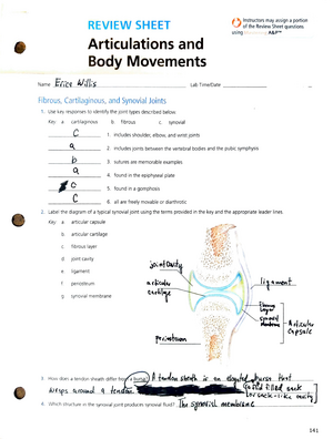 Review Articulations And Body Movement Studocu