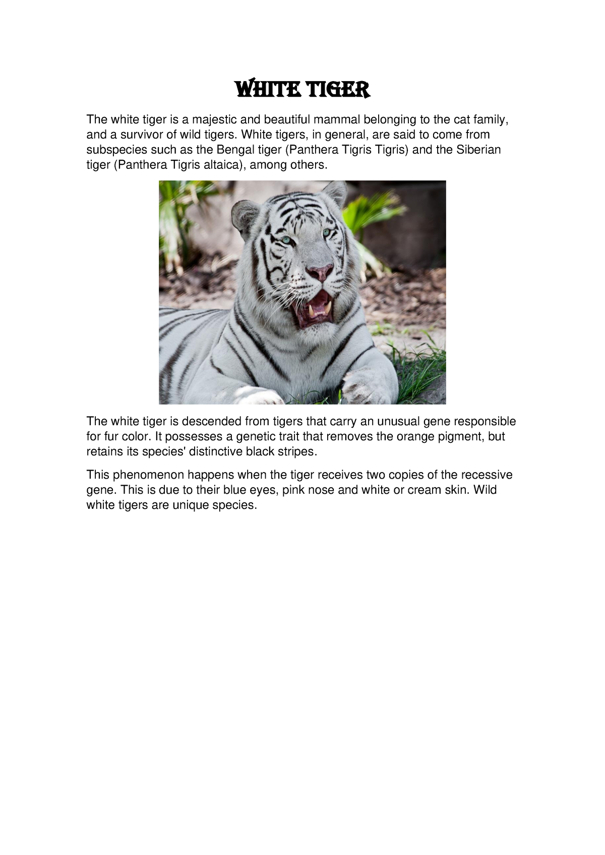 thesis on the white tiger pdf