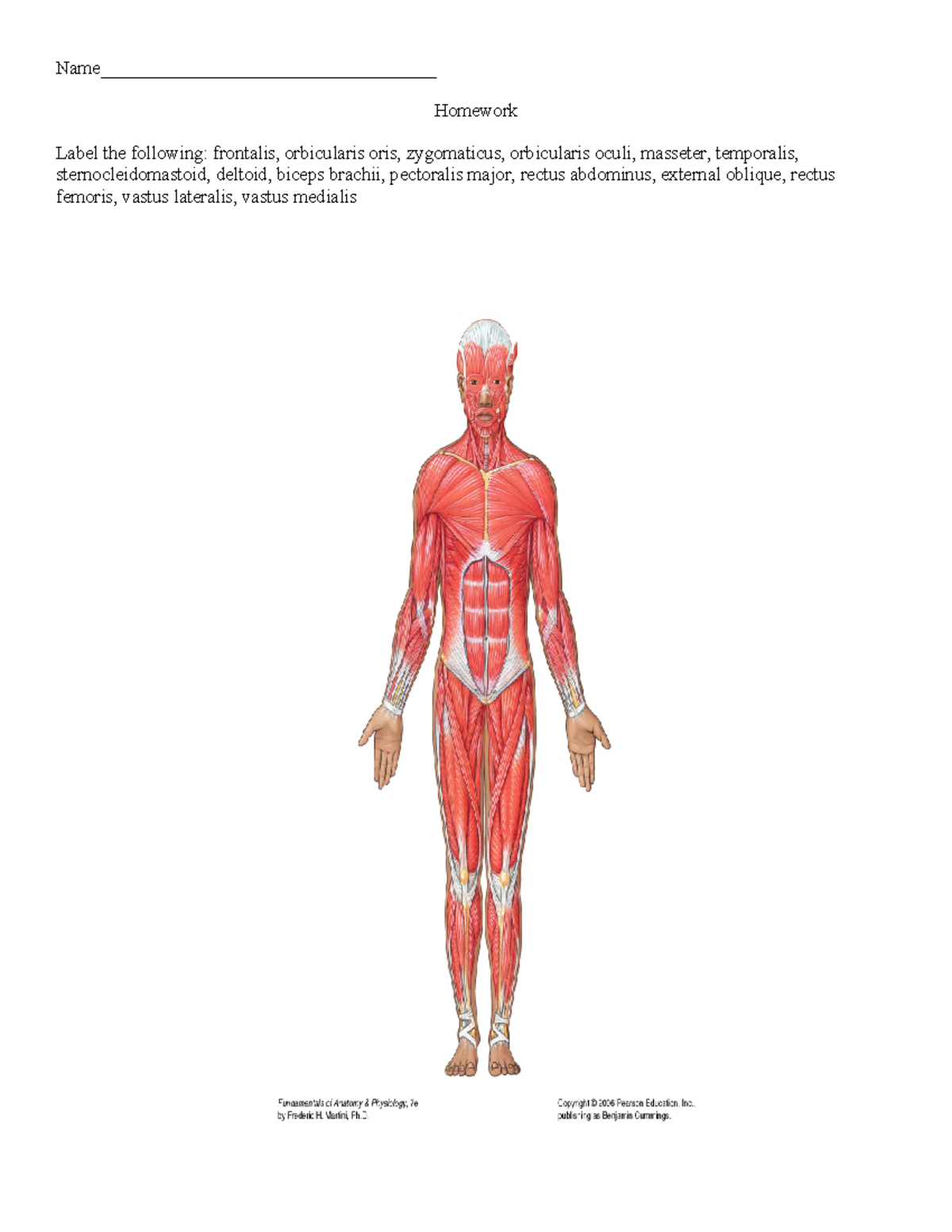 Anatomy practice notes Name