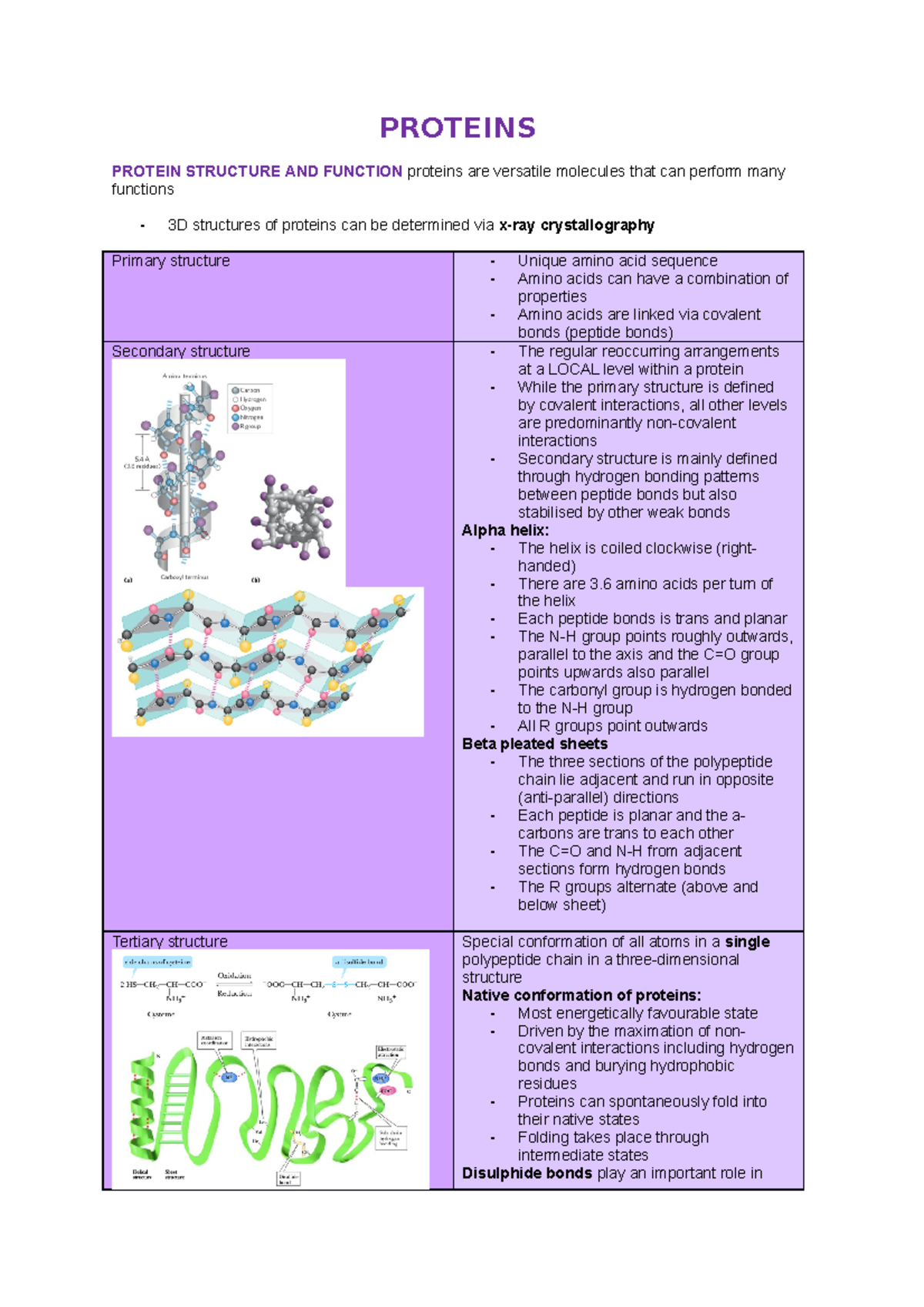 Biochemistry EXAM Booklet - PROTEINS PROTEIN STRUCTURE AND FUNCTION ...