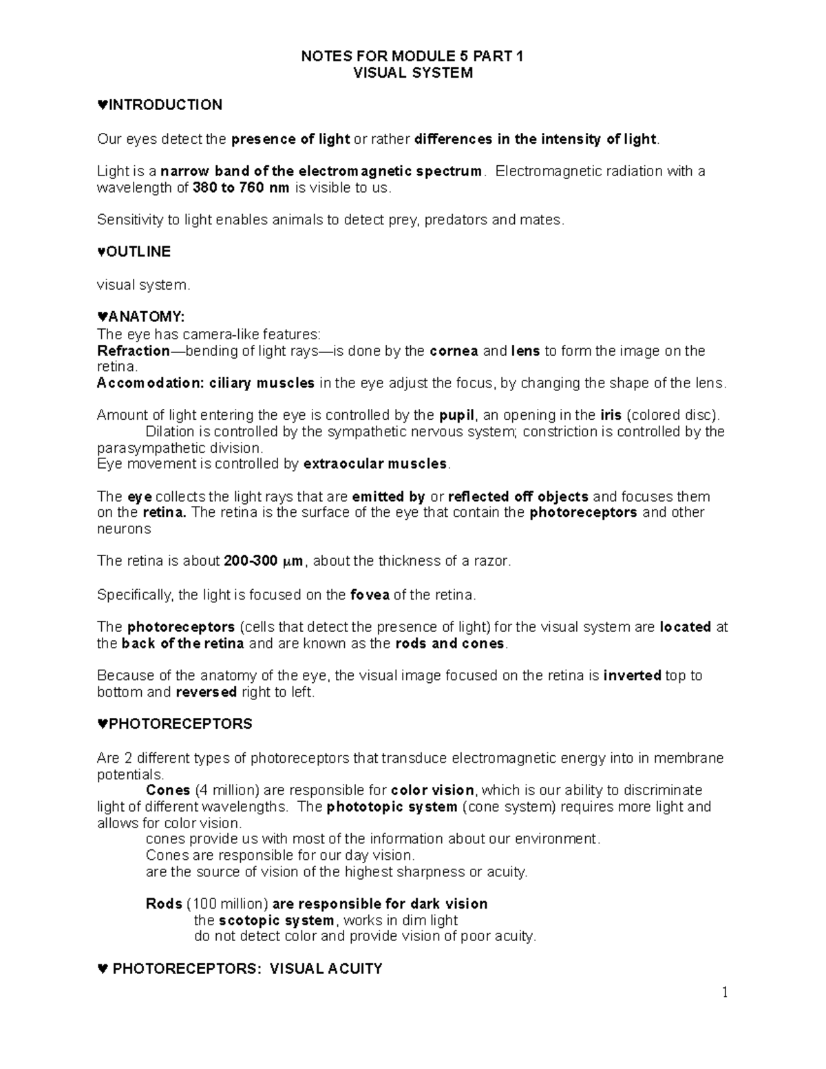 Motor System pt.1 - NOTES FOR MODULE 5 PART 1 VISUAL SYSTEM ♥ ...