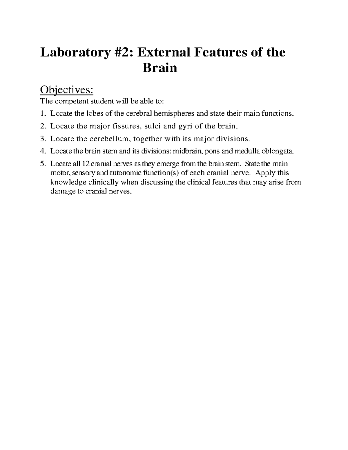 Anatomy Lab Dissector2 External Features of the Brain Laboratory