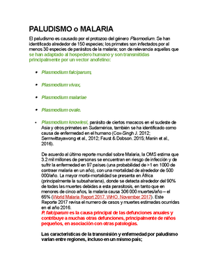 Manual para aplicar la norma TIA EIA para Cableado Estructurado - GUIA ...