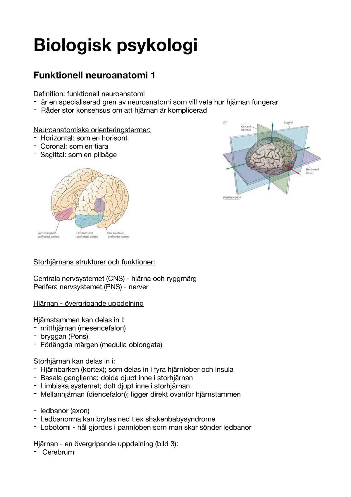 Biologisk Psykologi - Anteckningar - Biologisk Psykologi Funktionell ...