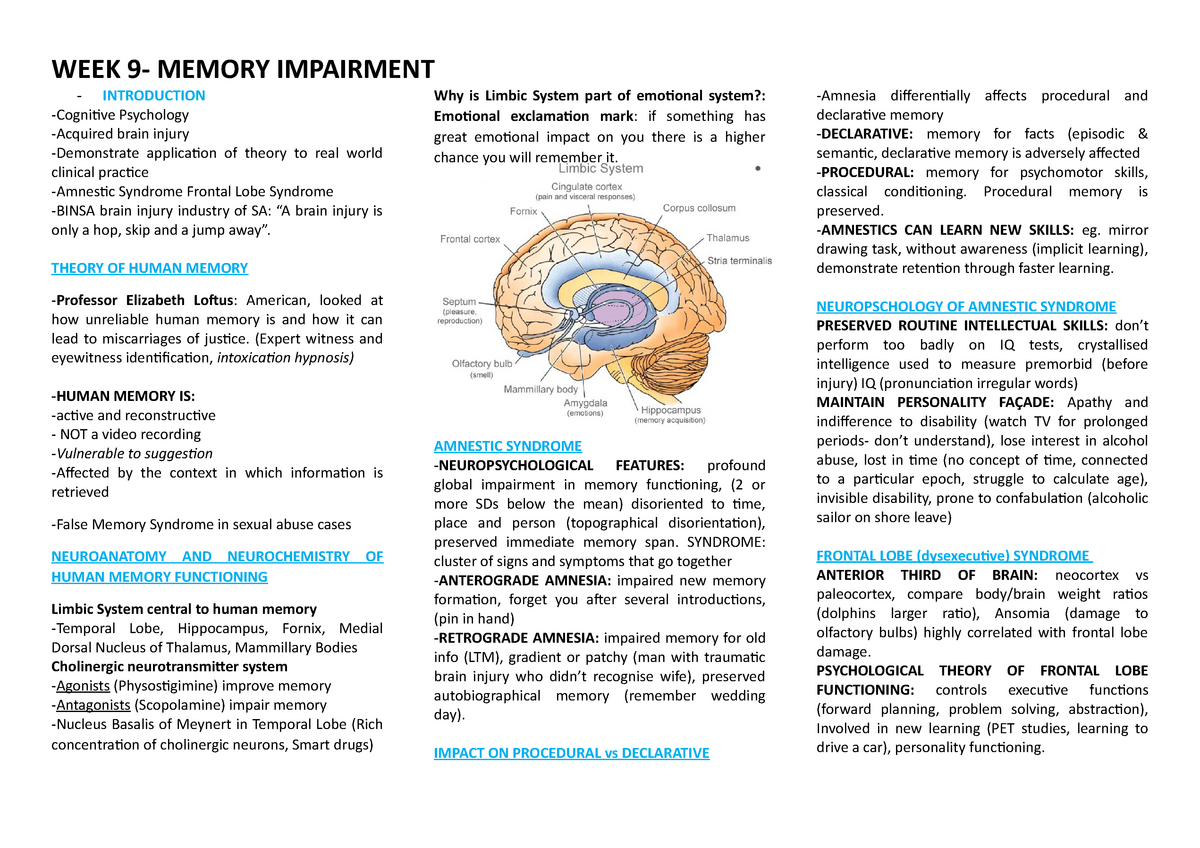 Wk 9. Impaired Memory Notes - WEEK MEMORY IMPAIRMENT INTRODUCTION ...