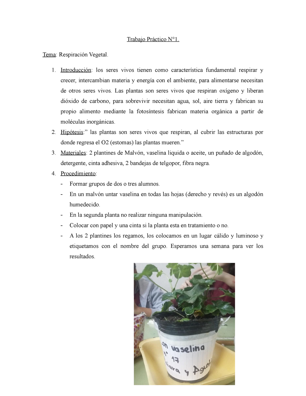 Respiración Vegetal - Trabajo Práctico N°1. Tema: Respiración Vegetal.  Introducción : los seres - Studocu