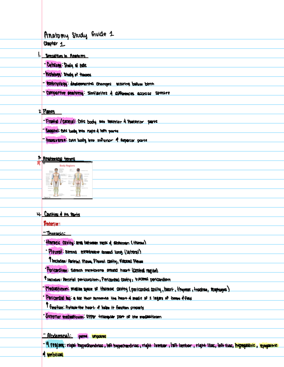 Exam 1 - A study guide for chapters 1-10 - AnatomyStudy Guide 1 Chapter ...