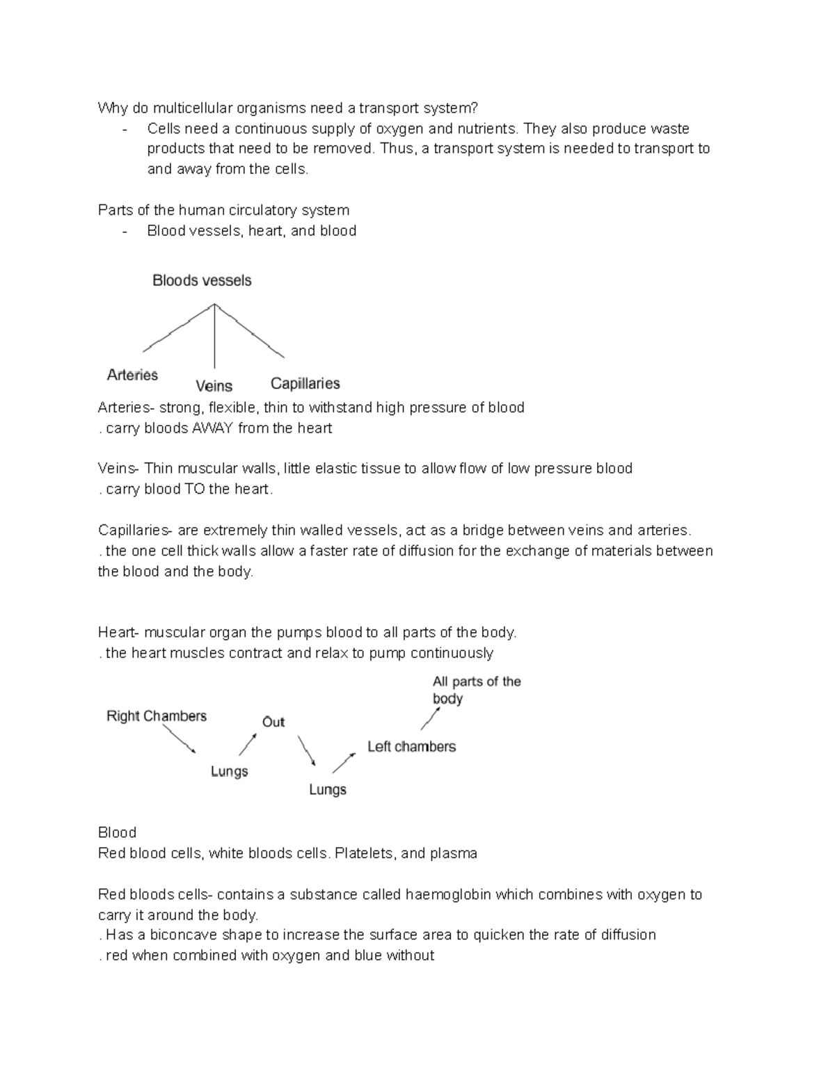 Science Transport System - Why do multicellular organisms need a ...