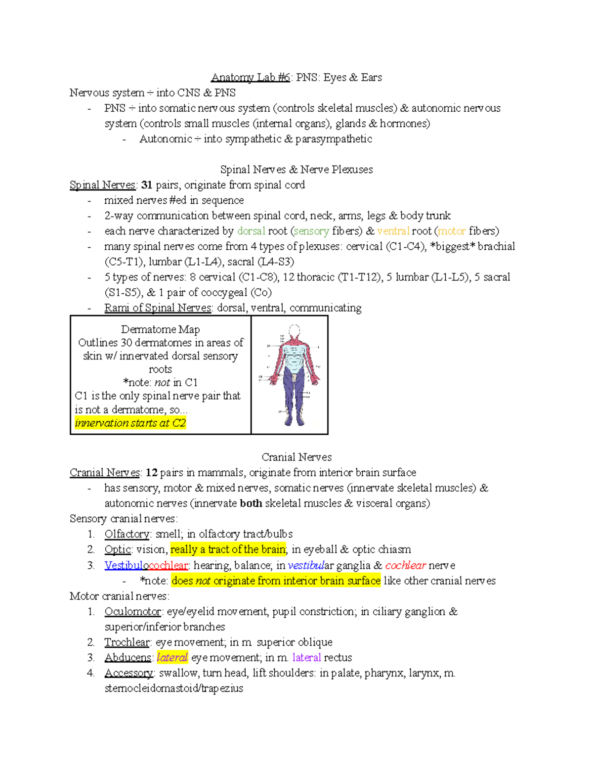 PHSC2302 Anatomy Lab #6 - Anatomy Lab #6: PNS: Eyes & Ears Nervous ...