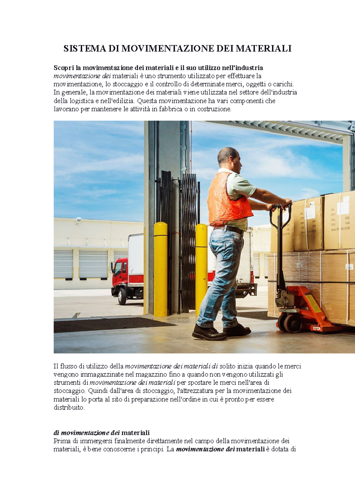 Material Handling System - SISTEMA DI MOVIMENTAZIONE DEI MATERIALI ...