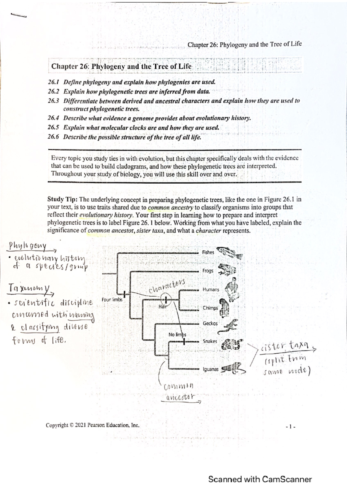 Chapt 26 - Phylogeny and tree of life - BIOL_SCI 201 - Studocu