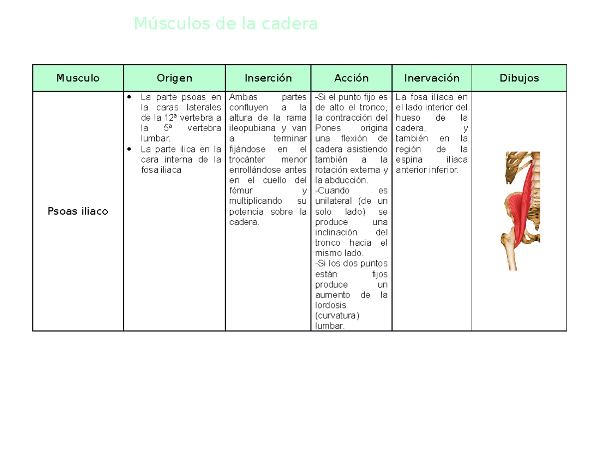 Músculos de la cadera es en forma de tabla de los musculos - Musculo