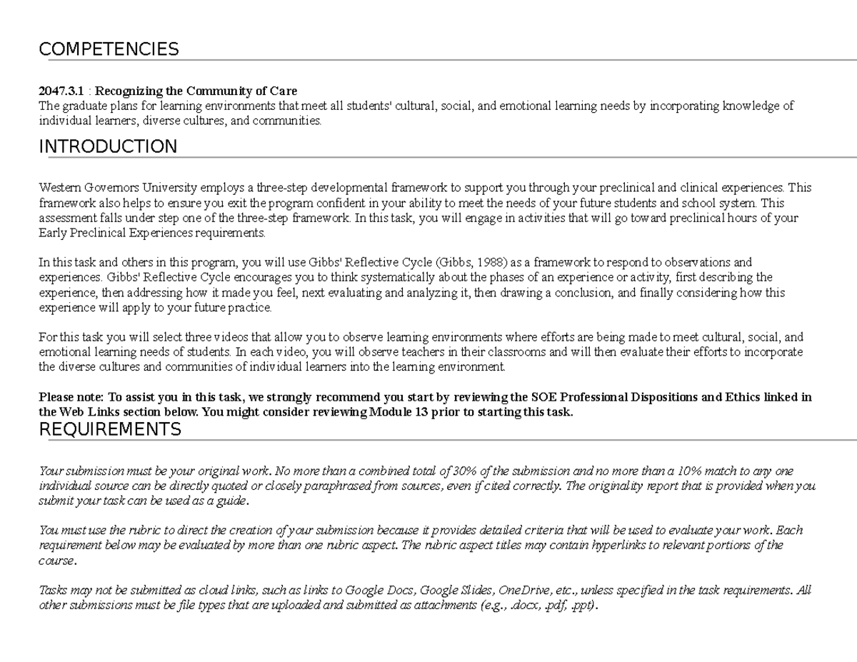 task-1-rubric-competencies-2047-3-recognizing-the-community-of-care