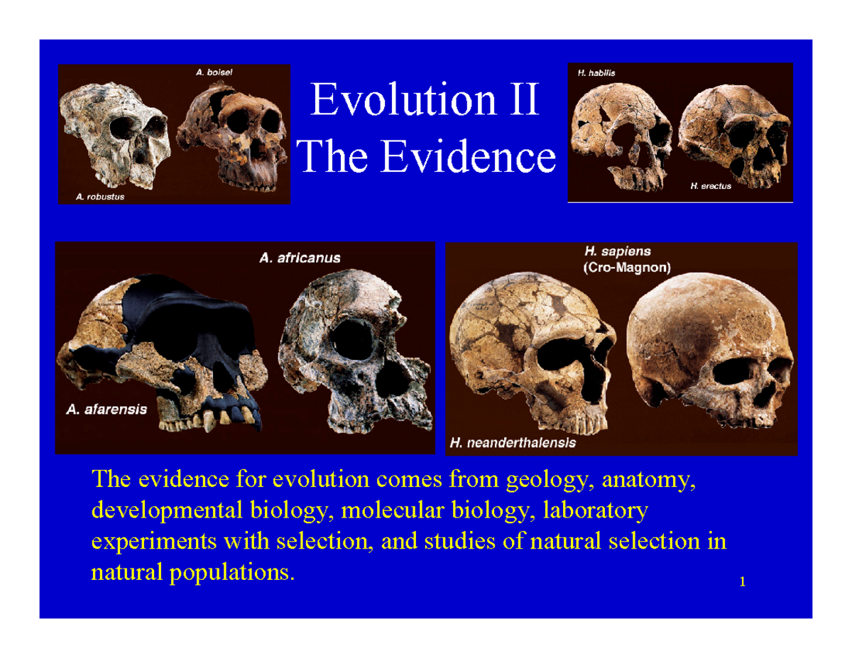 evidence-for-evolution-geology-provides-the-most-direct-evidence-for