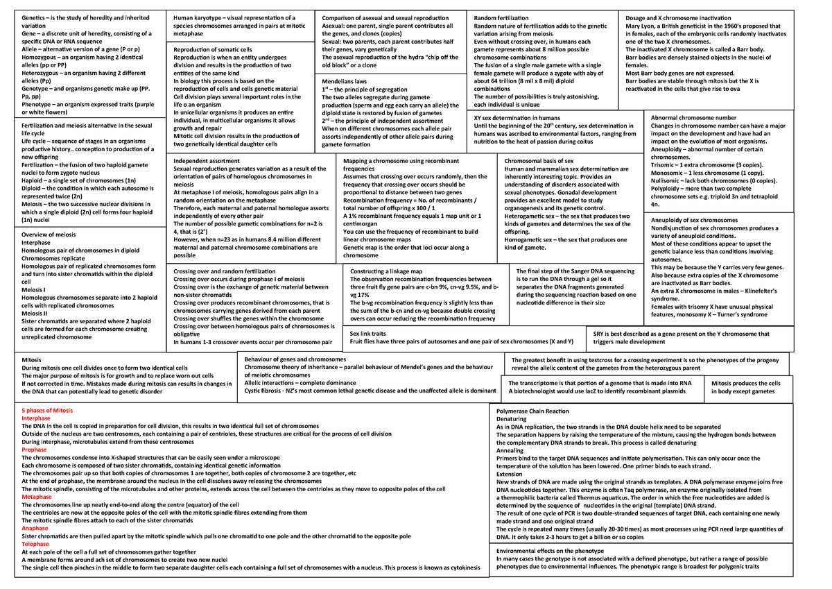 Biosci Cheat Sheet Leshgo Dosage And Chromosome Inactivation Mary Lyon British Studocu