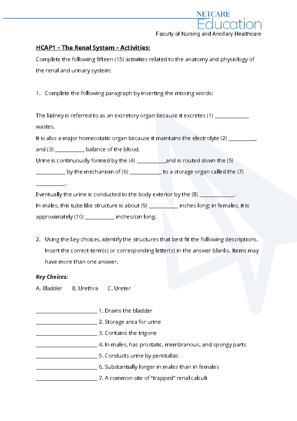 HCAP1 LU 8 Renal Activity sheet June 2023 - HCAP1 – The Renal System ...