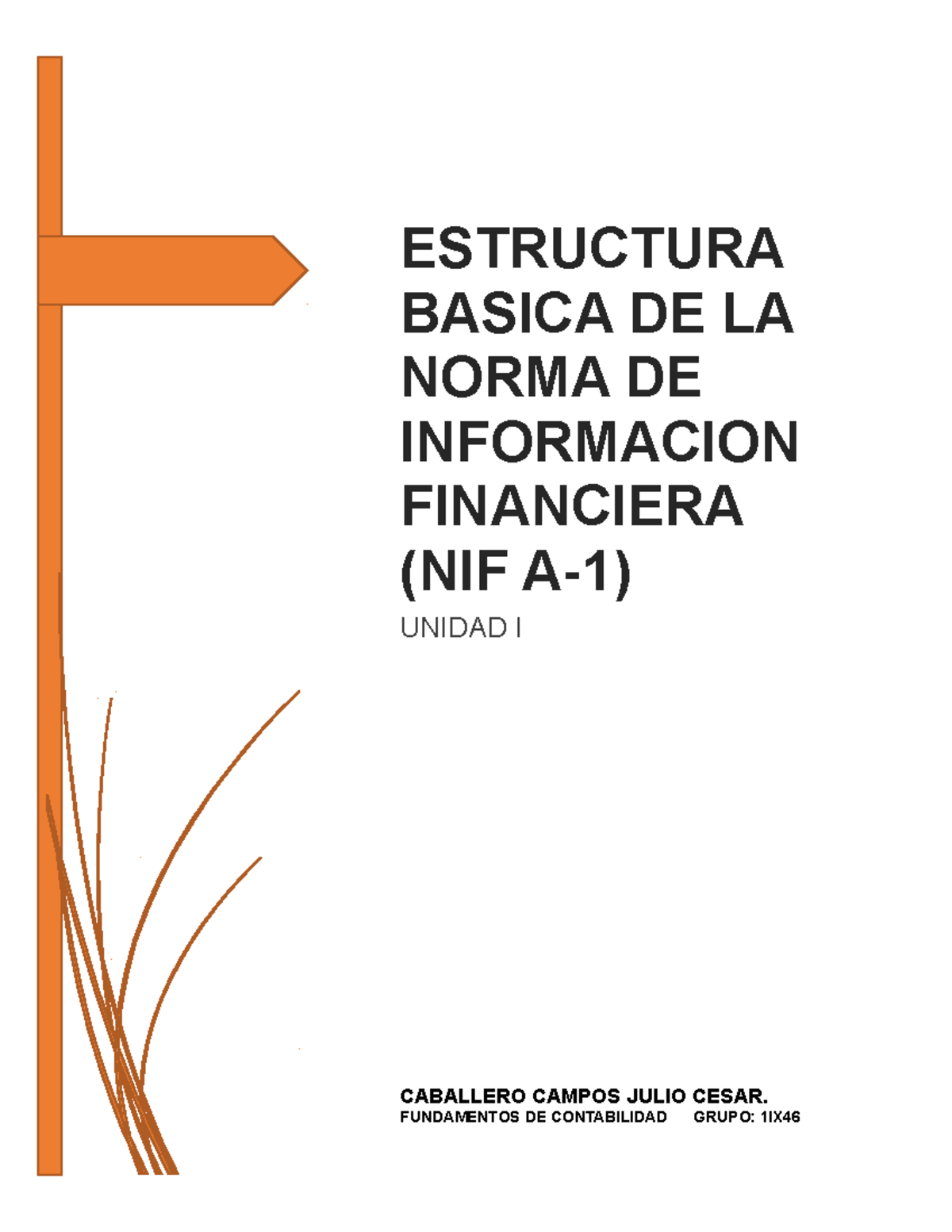 Estructura Basica De La Norma De Informacion Financiera NIF A-1 ...