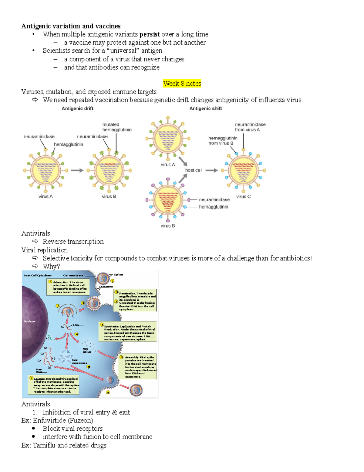 BIO 222 Notes - Week 8-13 - Antigenic variation and vaccines - When ...