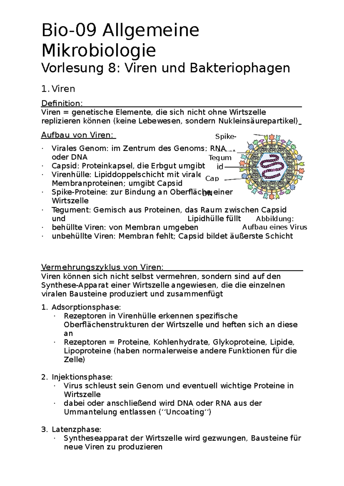 Zusammenfassung Vorlesung 8 Viren und Bakteriophagen Mikrobiologie