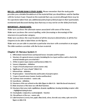 Anatomy visual data 3