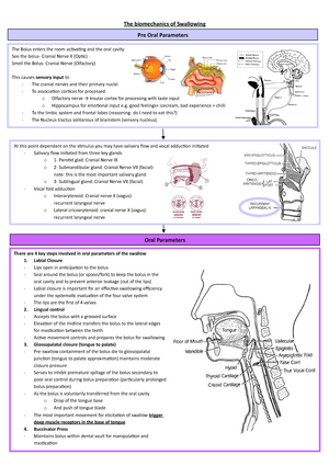 Cranial Nerve and Swallowing - CN Tested by Motor Innervation Potential ...