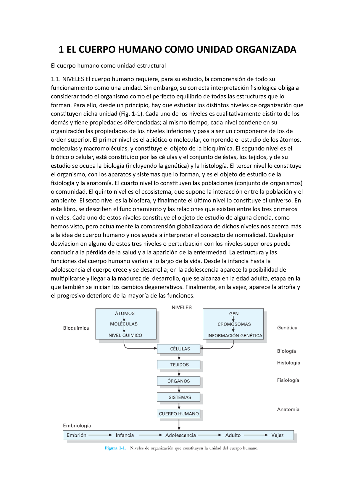 1 El Cuerpo Humano Como Unidad Organizada 1 El Cuerpo Humano Como Unidad Organizada El Cuerpo 6997