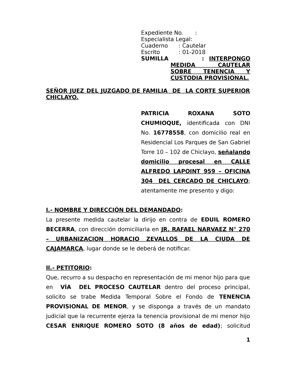 397199195 Medida Cautelar Tenencia Provisional Expediente No Especialista Legal Cuaderno 5210