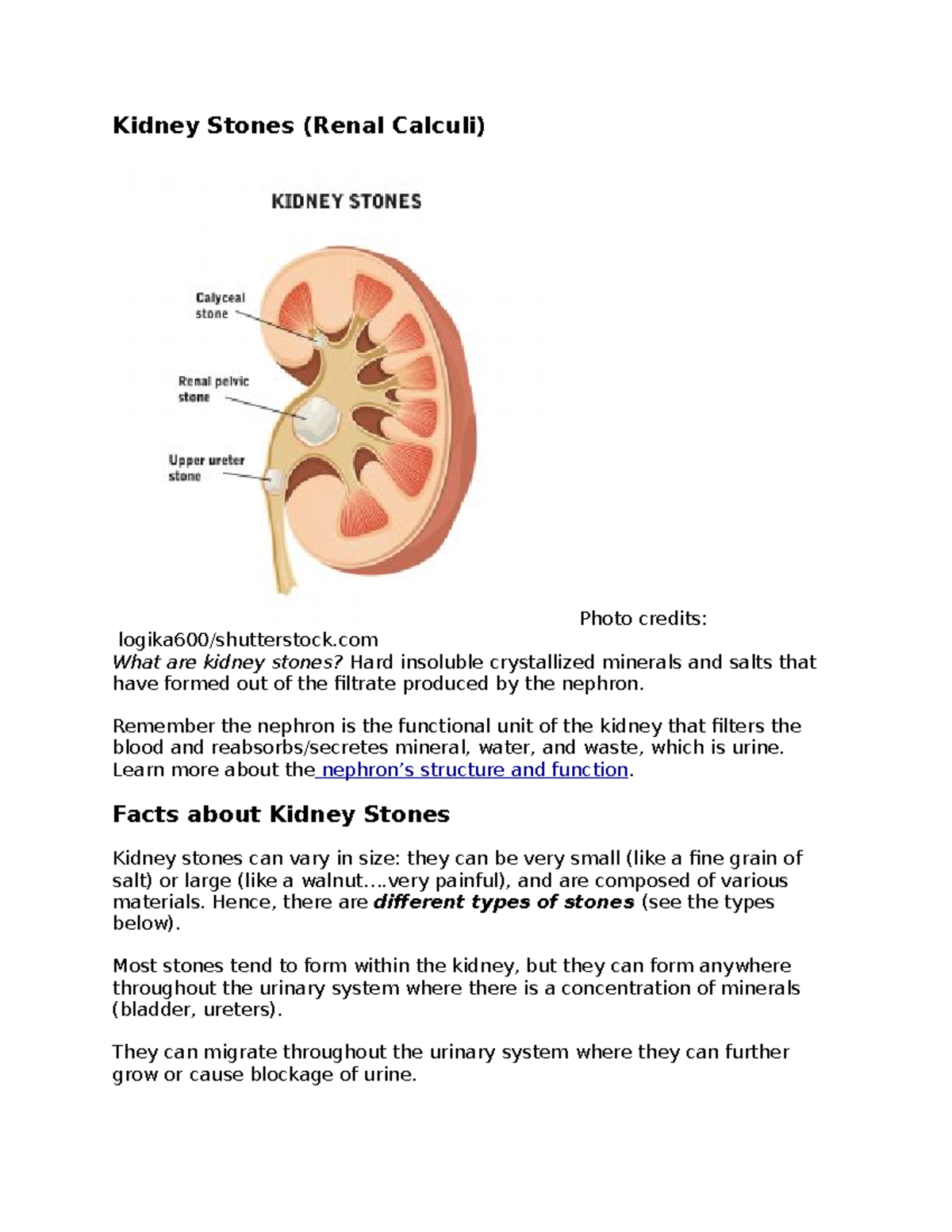 How to Change an Ostomy Bag for Nurses