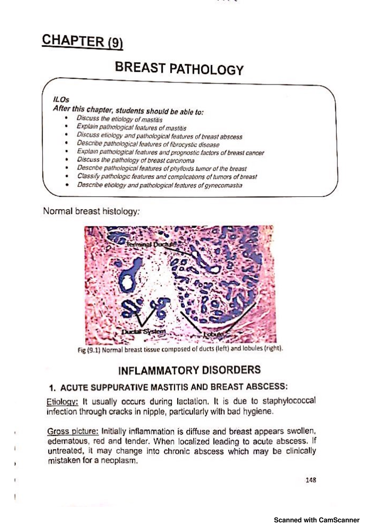 Breast Lecture Note - Pathology And Parasitology - Studocu