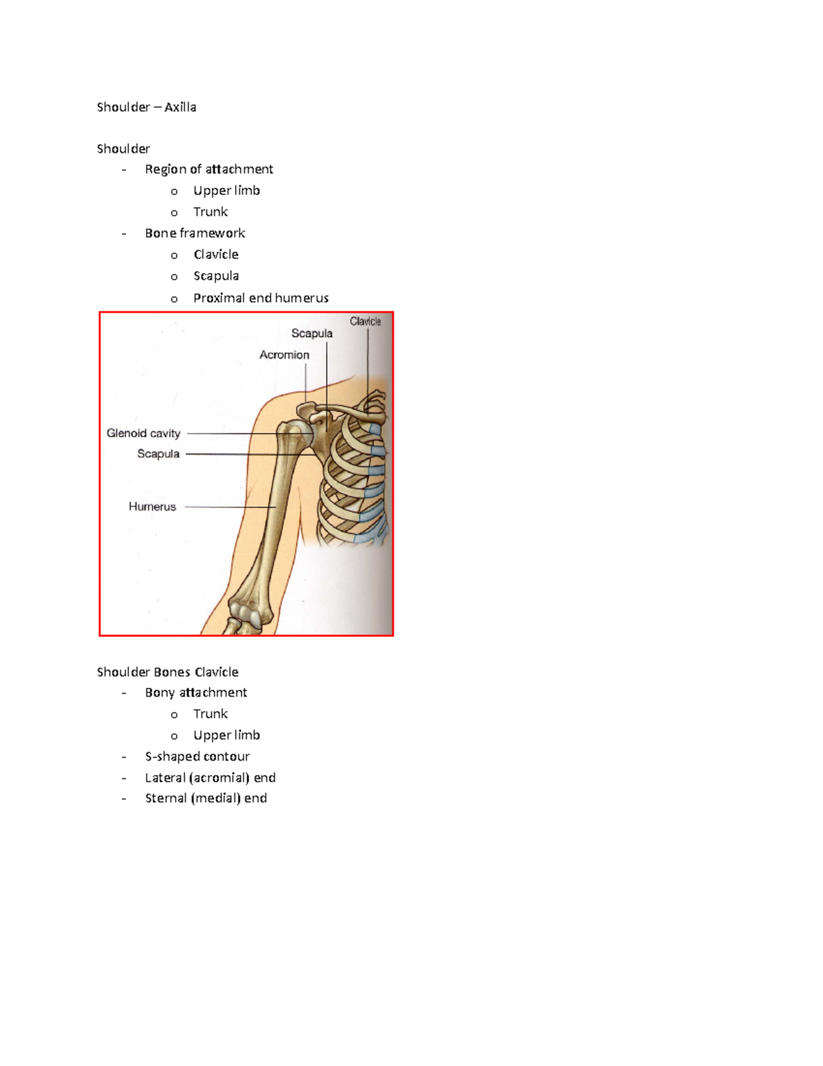 Summary - Lecture Shoulder And Arm - Shoulder – Axilla Shoulder ...