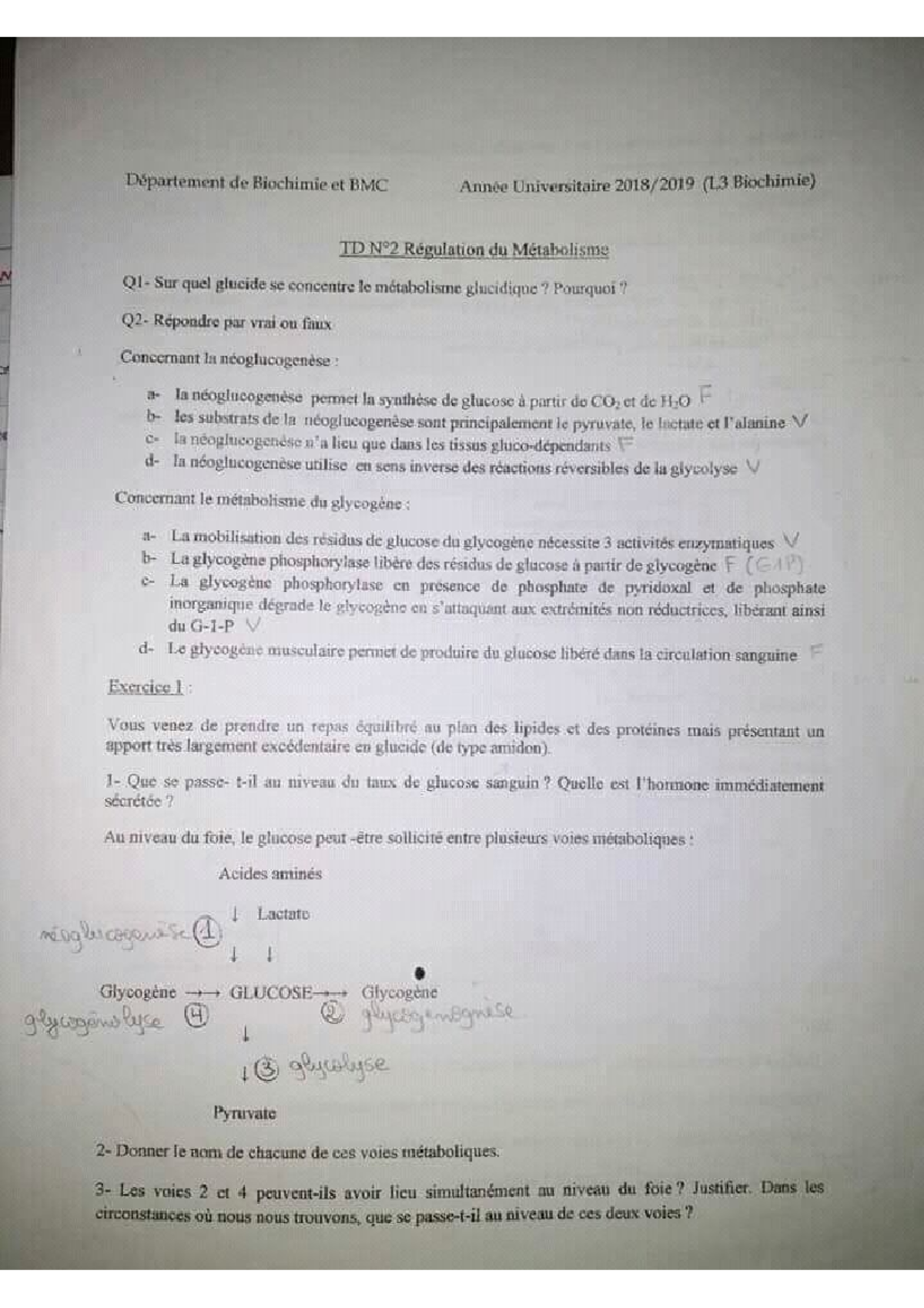 TD2+Solution Régulation métabolique - Biologie - Studocu