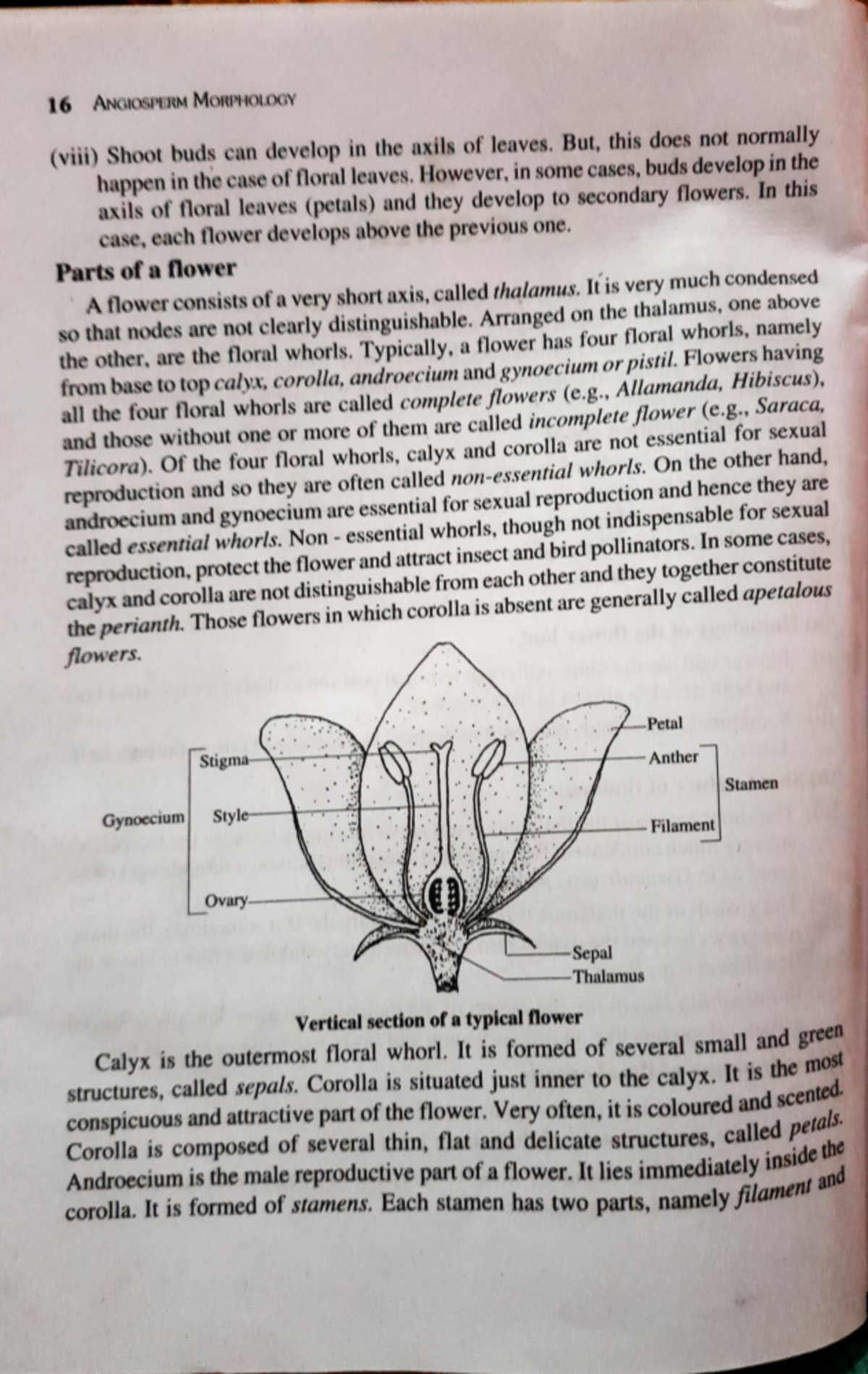 Scan 26 Oct 22 · 2 - Parts of a flower - Angiosperm Morphology ...
