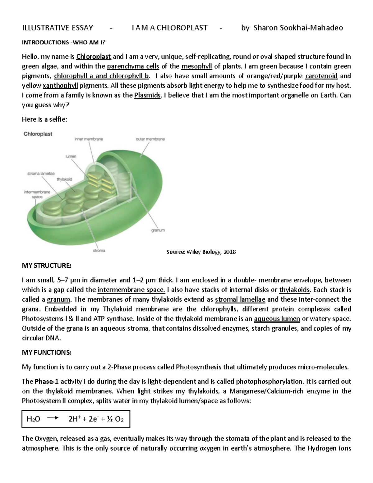 I AM A Chloroplast-1 - I am A chloroplast assignment - ILLUSTRATIVE ...