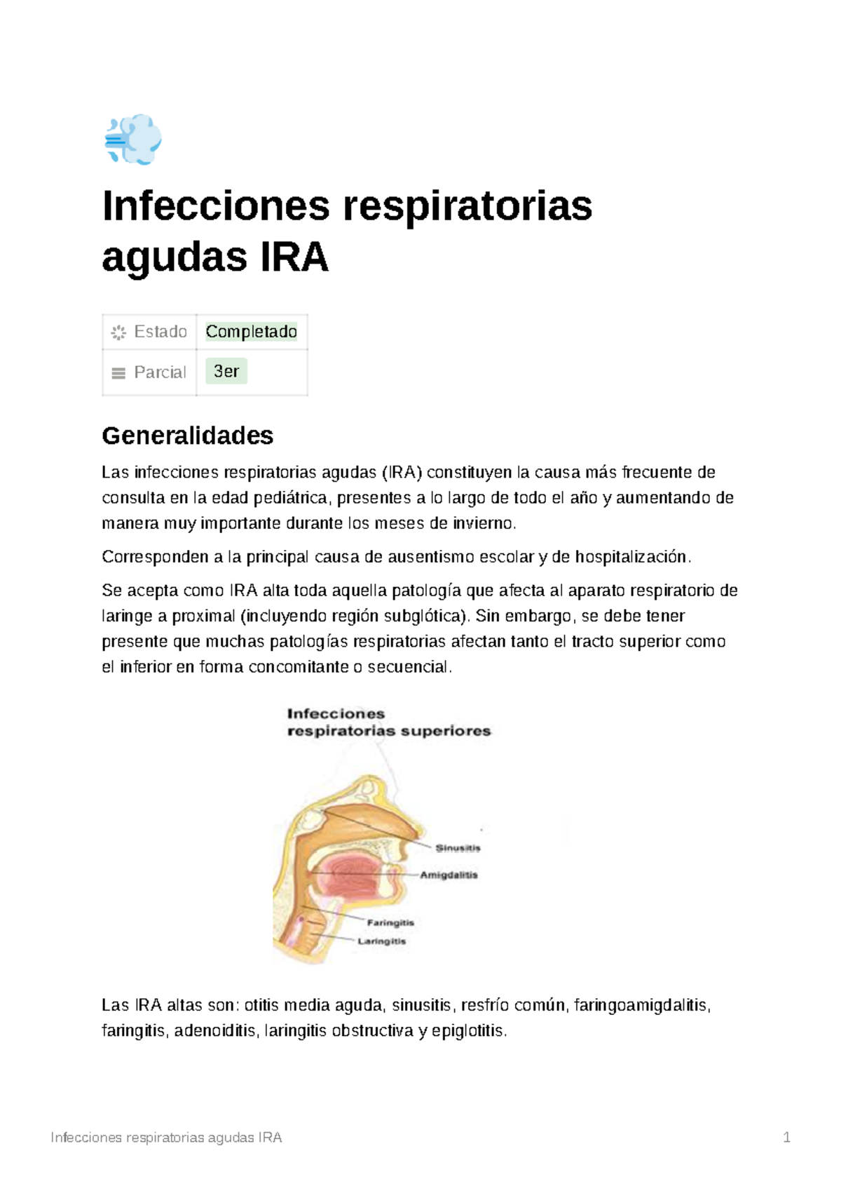 Infecciones Respiratorias Agudas Ira Corresponden A La Principal