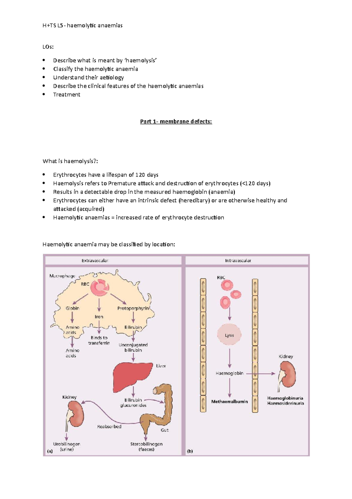 L5- haemolytic anaemias - LOs: Describe what is meant by ‘haemolysis ...