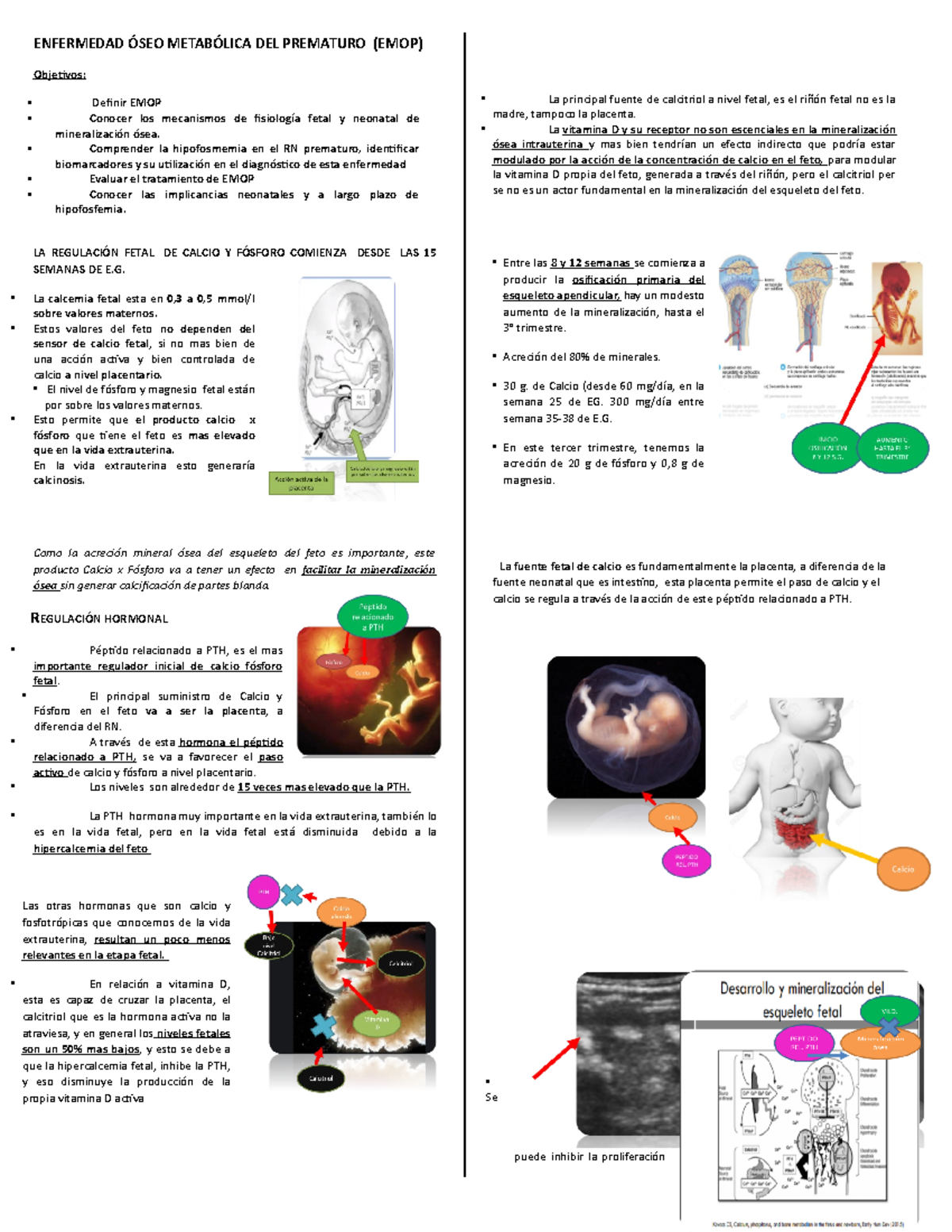 Rsumen EMOP - ENFERMEDAD ÓSEO METABÓLICA DEL PREMATURO (EMOP) Objeivos ...