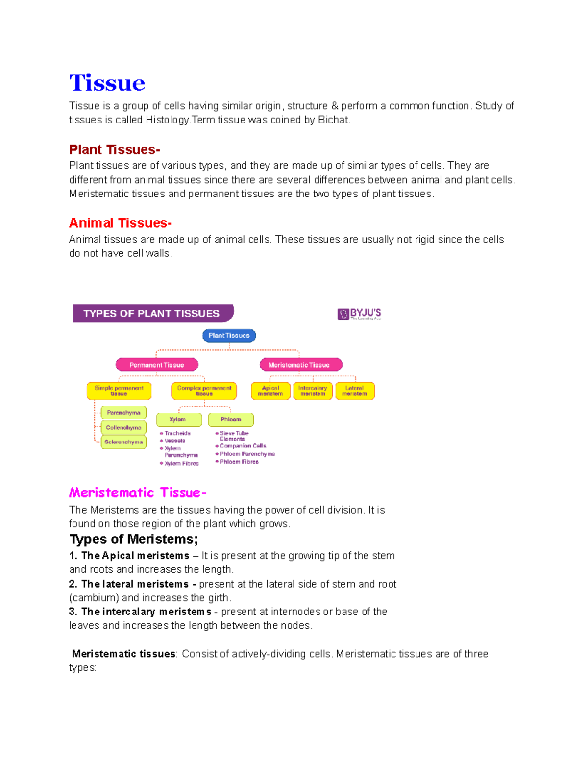 Tissue - Mathematics student - Tissue Tissue is a group of cells having ...