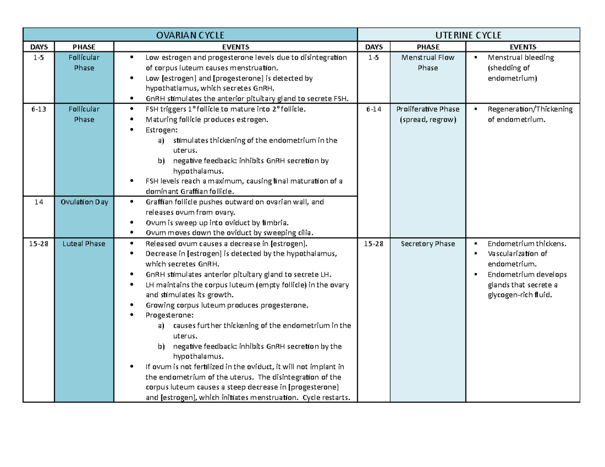 Ovarian Uterine Cycle Table - Ovarian Cycle Uterine Cycle Days Phase 