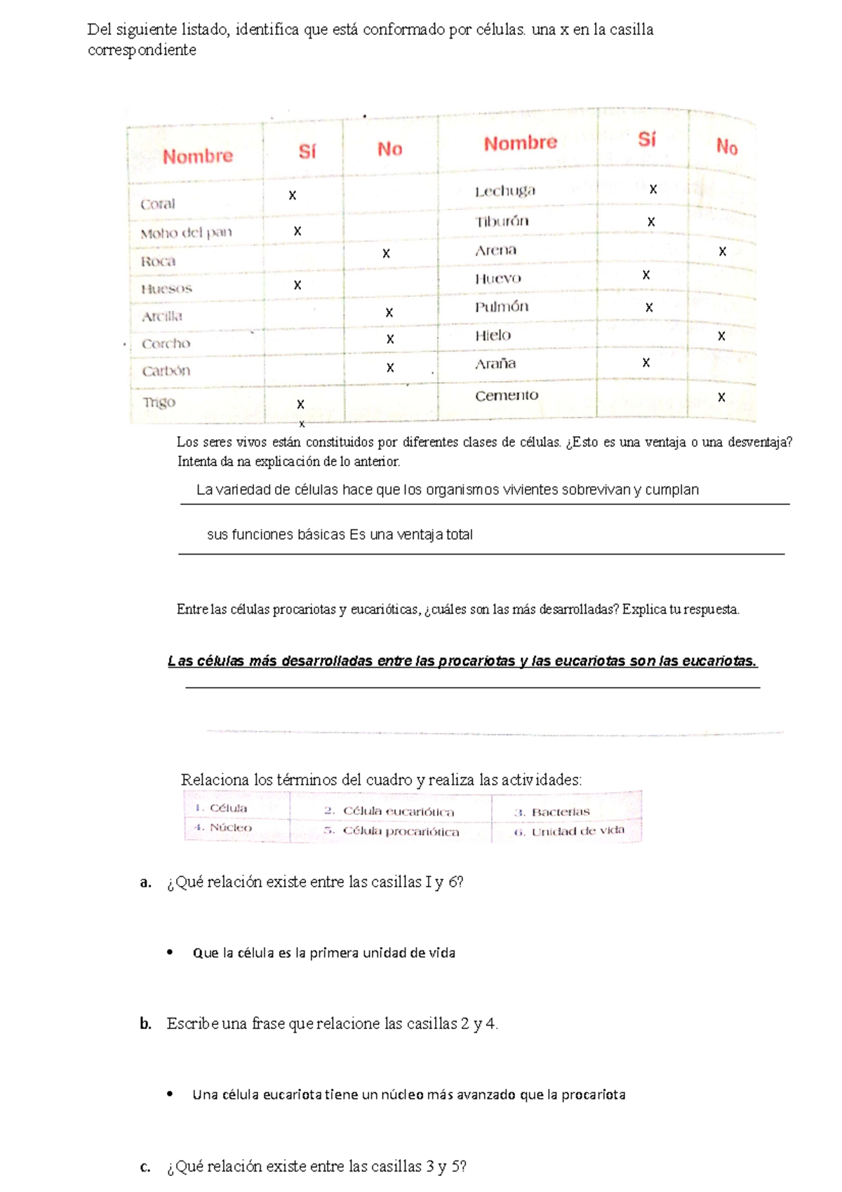 Las celulas - Del siguiente listado, identifica que está conformado por