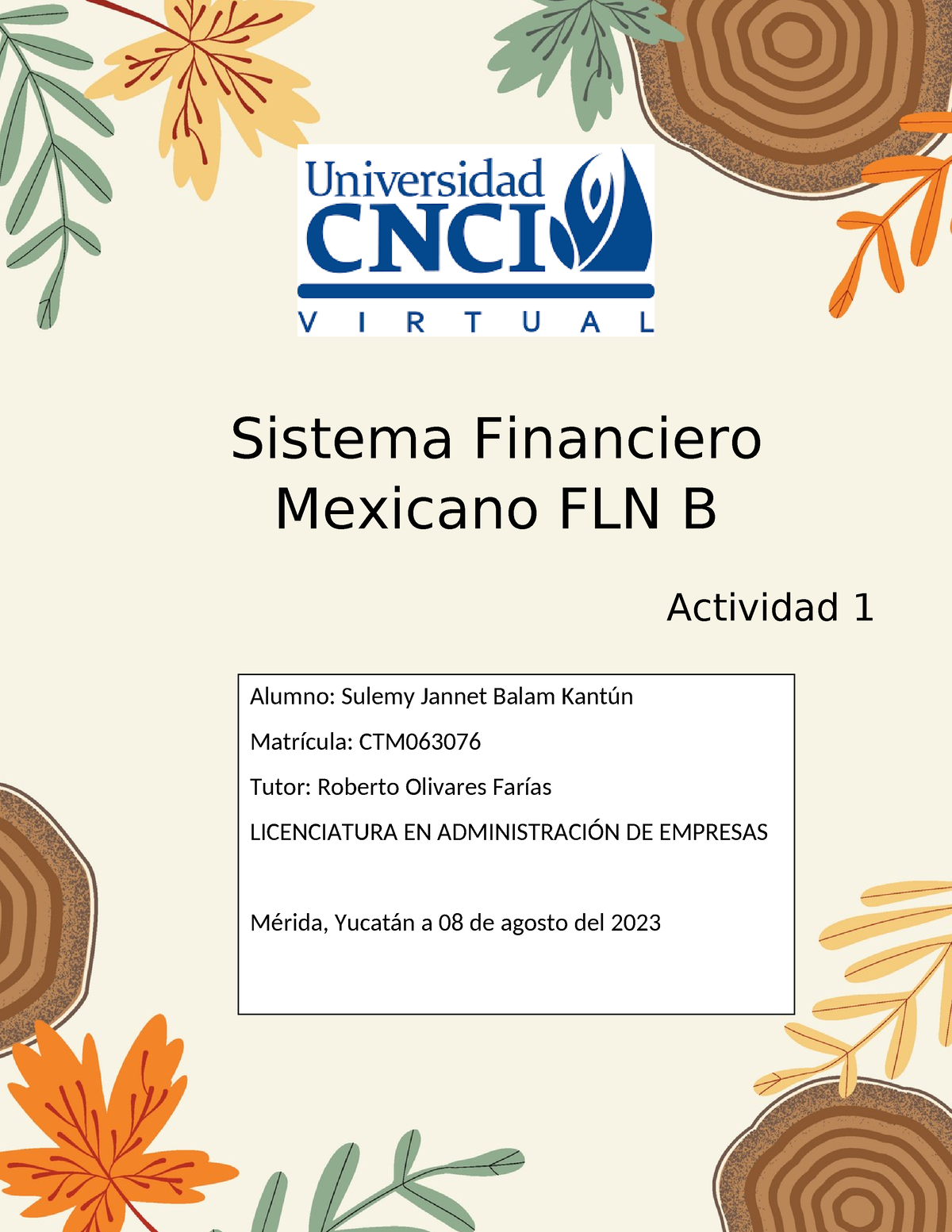 Act 1 Sistema Financiero Mexicano Terminada - Sistema Financiero ...