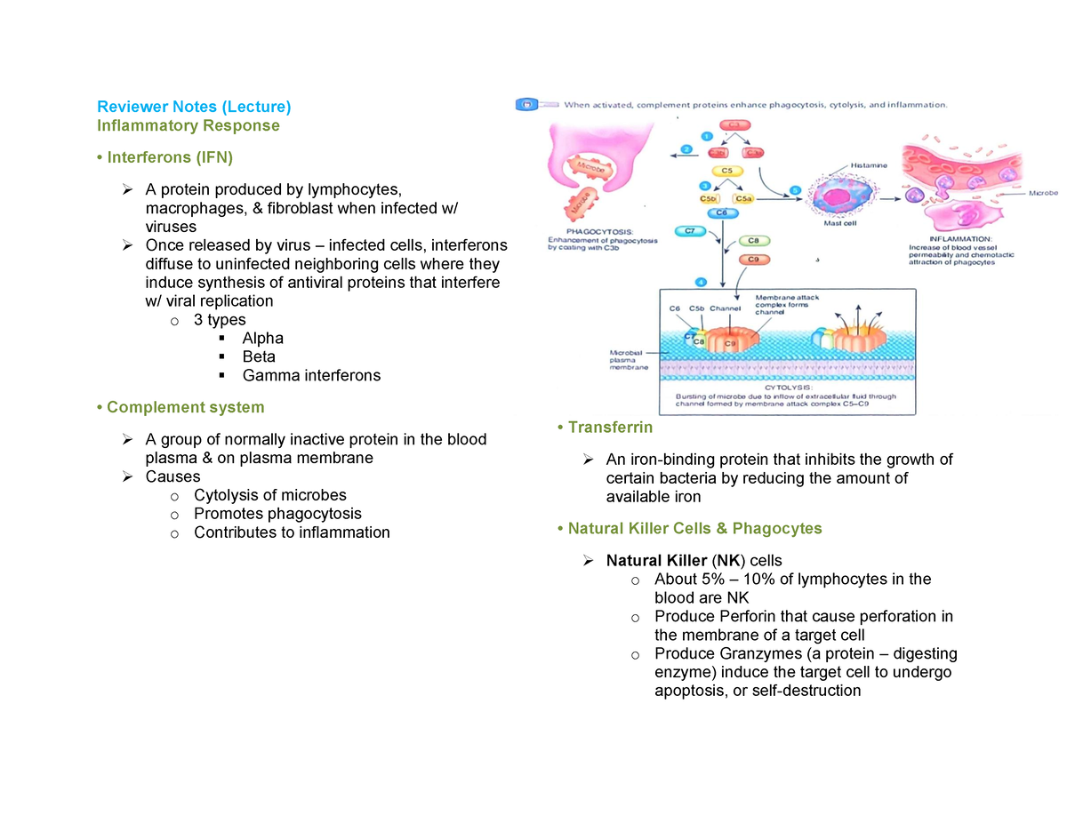 Inflammatory-response-notes - Reviewer Notes (lecture) Inflammatory 