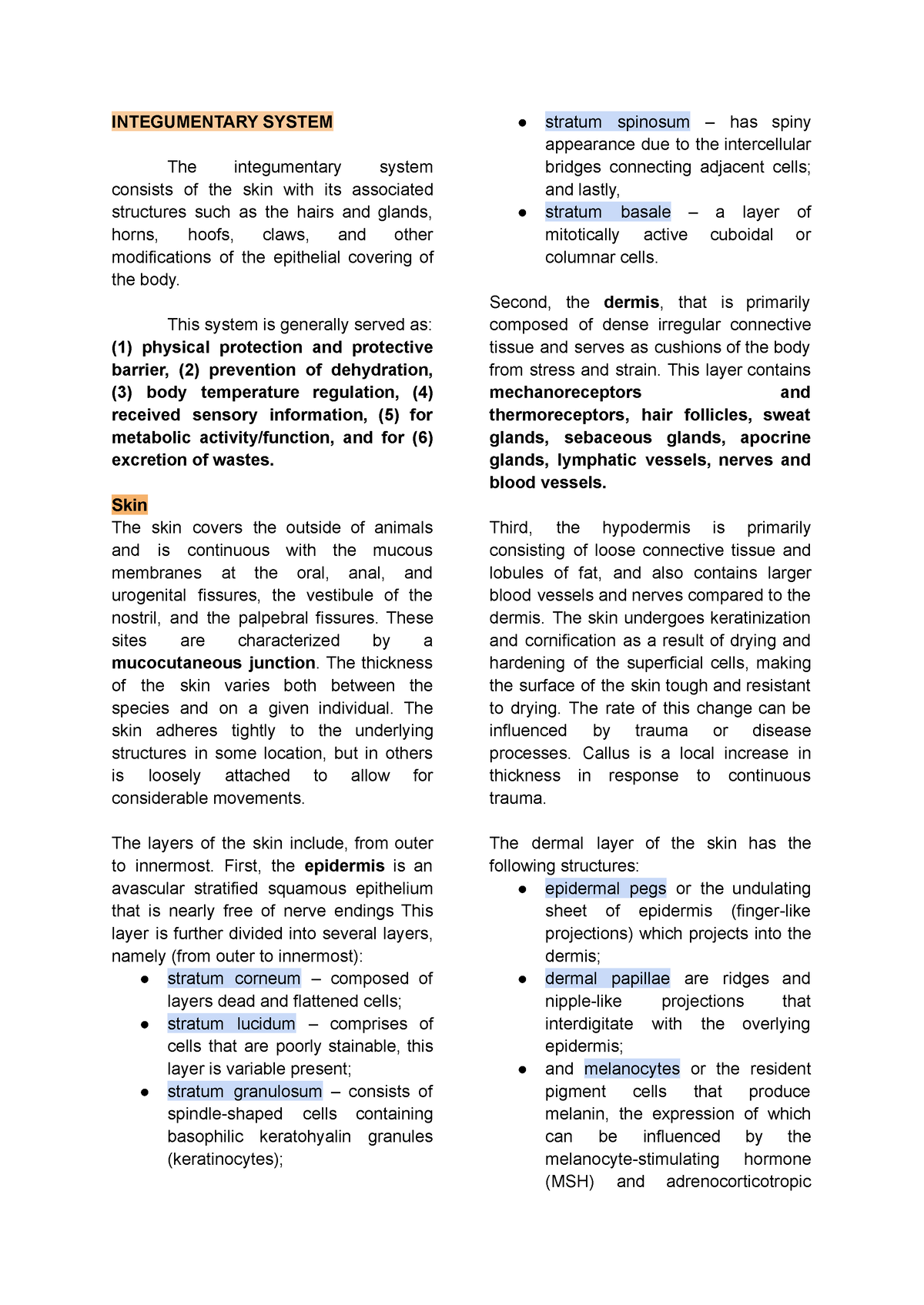 term paper on integumentary system