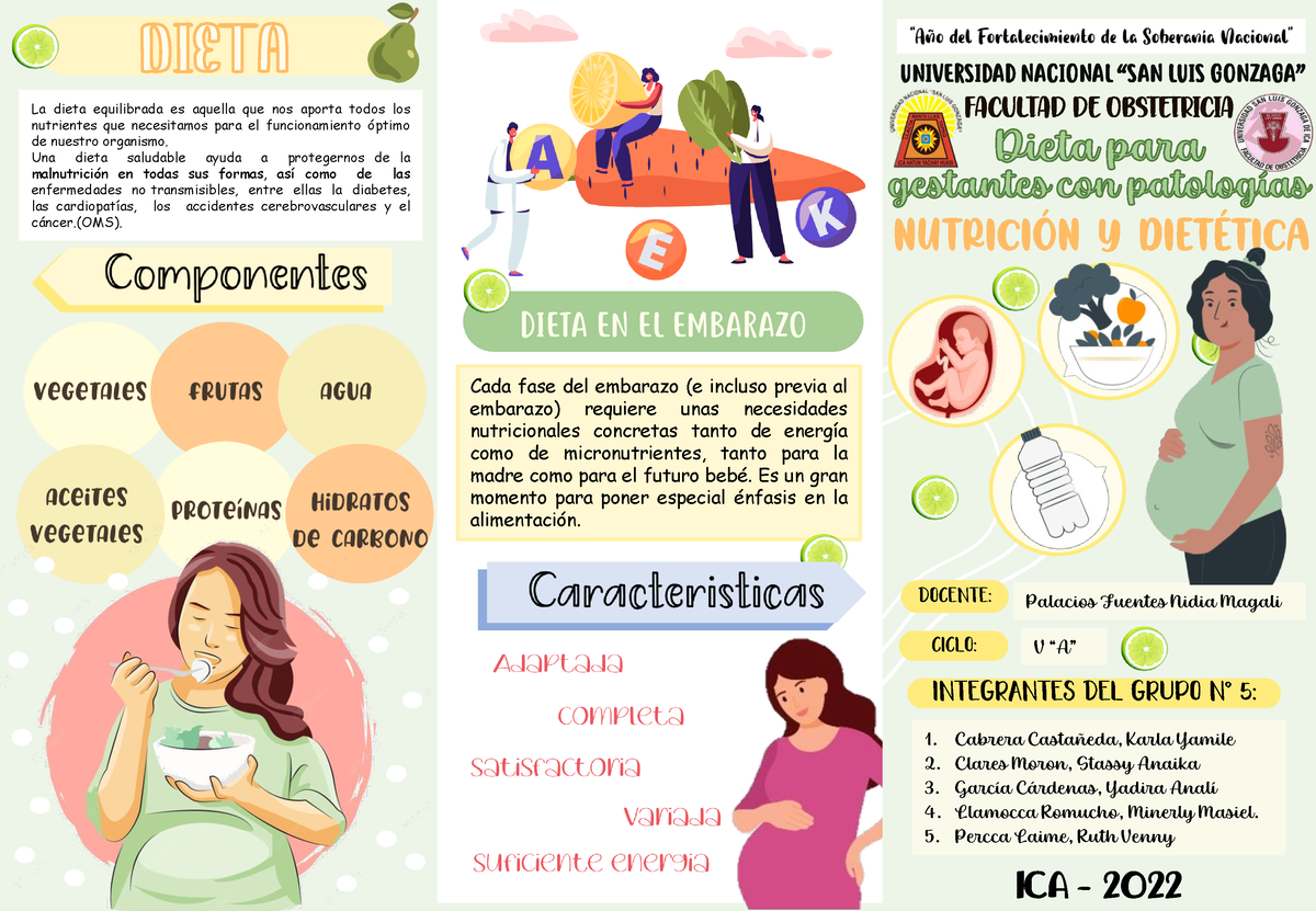 Triptico DE Nutrición- Embarazo - UNIVERSIDAD NACIONAL “SAN LUIS ...