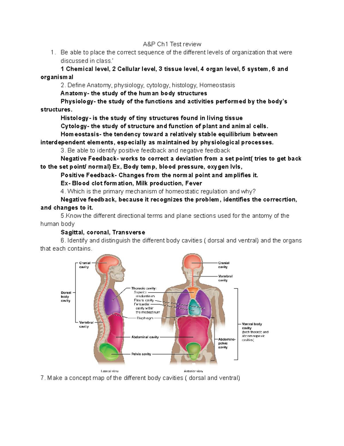 Untitled document - Cardiopulmonary notes - A&P Ch1 Test review Be able ...